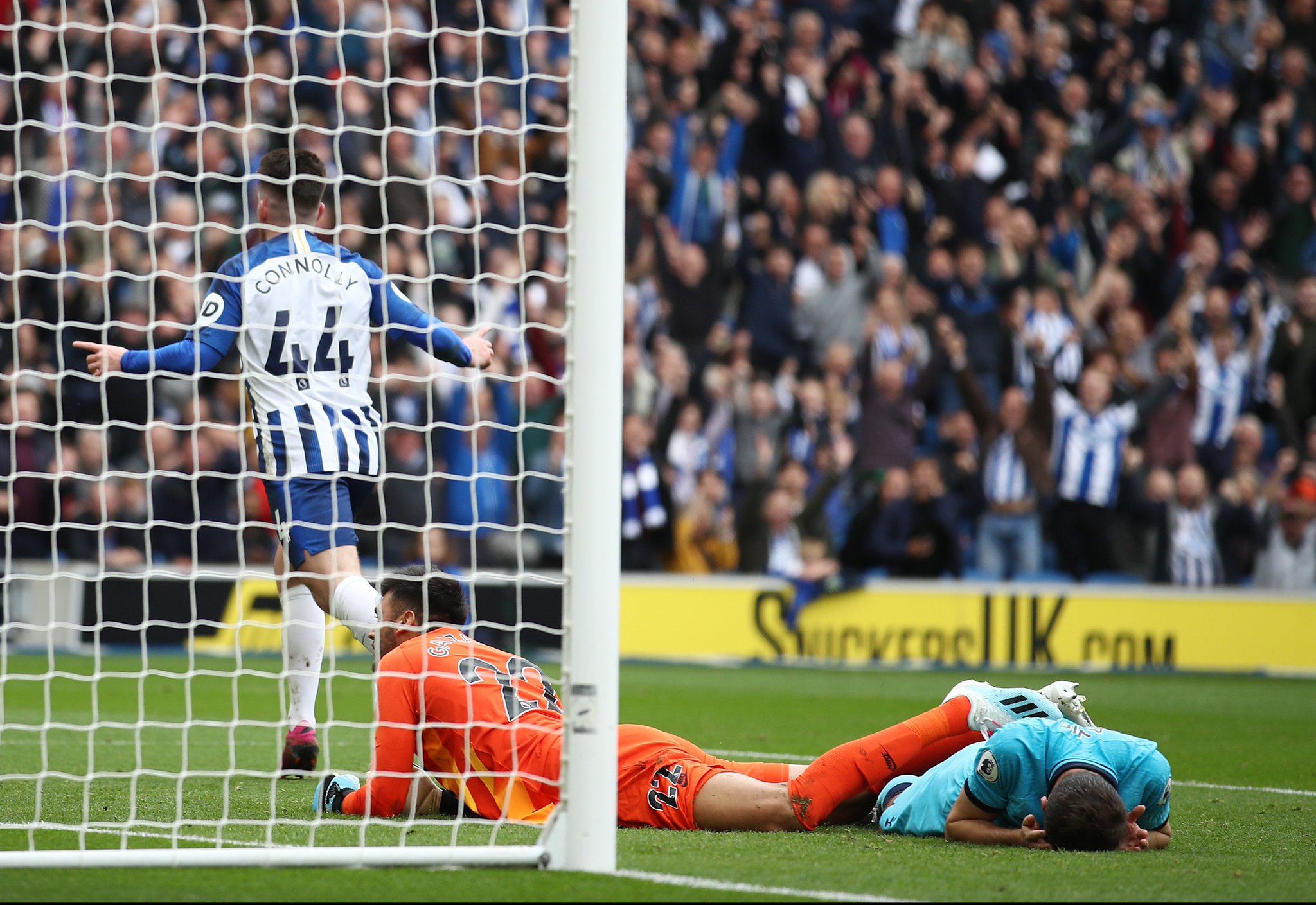 得了多项荣 得了多项荣