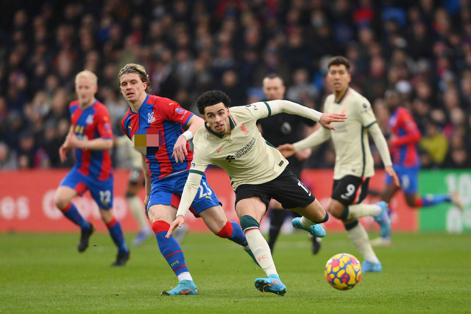 戈麦斯在拜 戈麦斯在拜